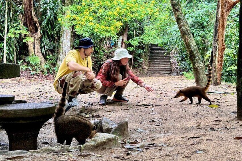 Tijuca Forest: Tour with Waterfalls and Caves