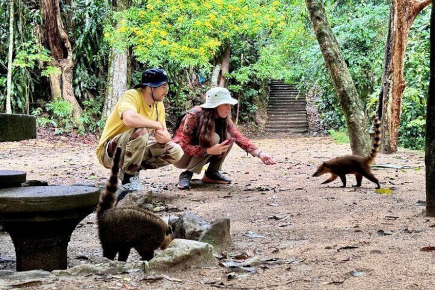 Tijuca Forest: Tour with Waterfalls and Caves