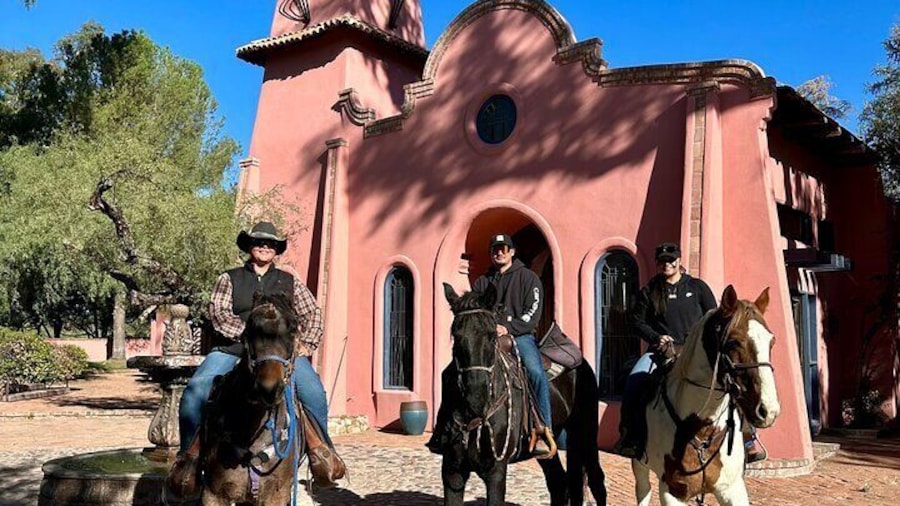 Guided 2 Hour Horseback Ride Catalina State Park Coronado Forest