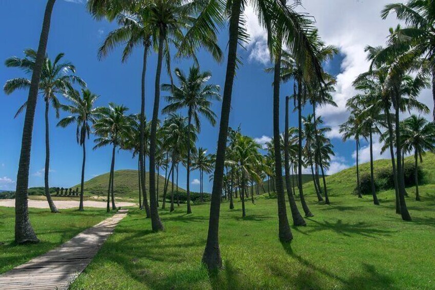 Full Day Hotu Matua Tour from Vaihu to Anakena