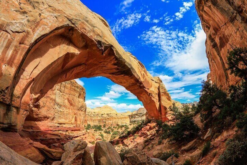 Private Two Days Tour to Bryce Canyon & Capitol Reef Nat'l Parks