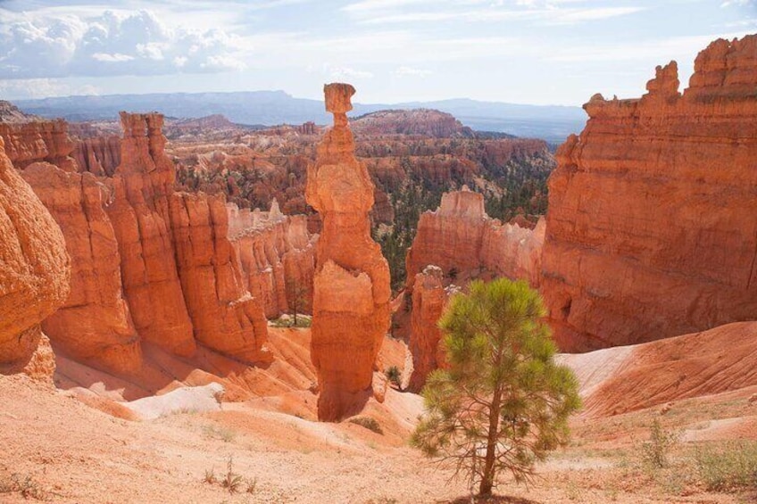 Private Two Days Tour to Bryce Canyon & Capitol Reef Nat'l Parks