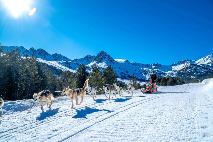 Picture 2 for Activity Grandvalira: Dog Sledding Tour in Andorra