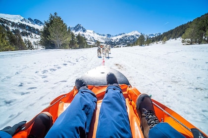 Grandvalira: Dog Sledding Tour in Andorra