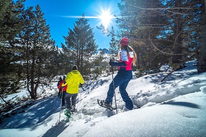 Andorra: Snowshoe Guided Excursion in Grau Roig