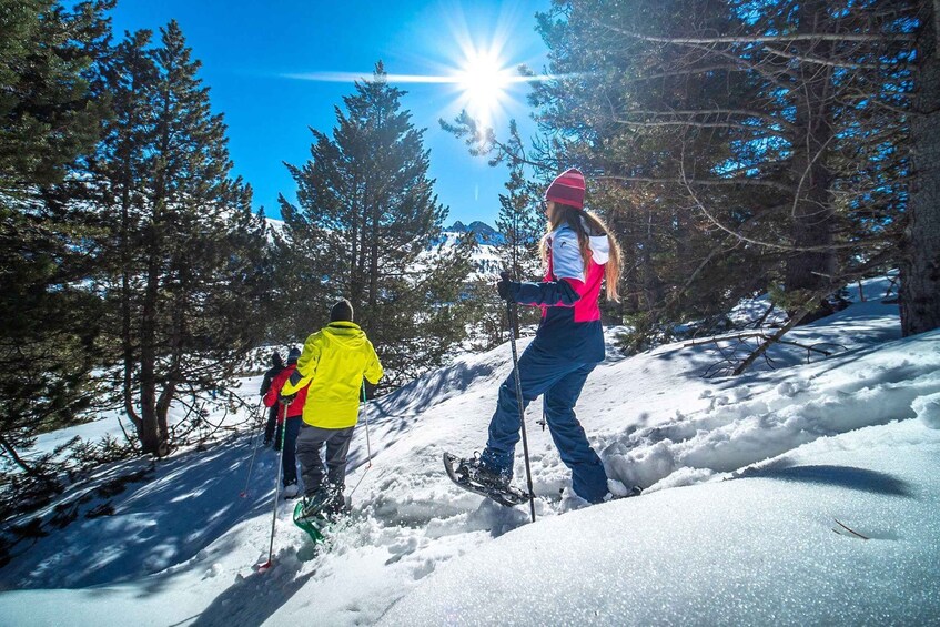 Andorra: Snowshoe Guided Excursion in Grau Roig