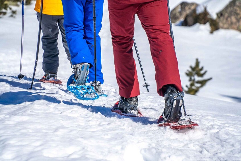 Picture 3 for Activity Andorra: Snowshoe Guided Excursion in Grau Roig