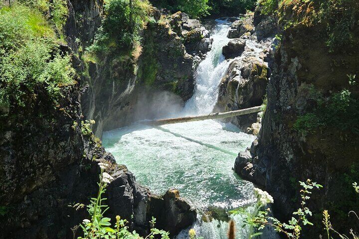 Wildlife, Waterfalls, Caves, Old Growth on Vancouver Island