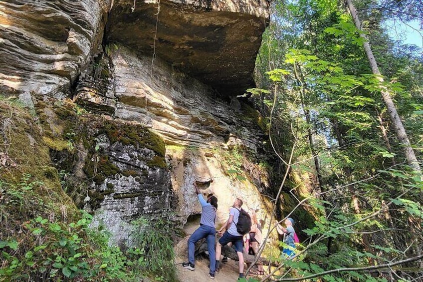 Full-Day Tour, Waterfalls, Caves, Old Growth on Vancouver Island