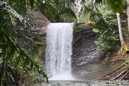 Full-Day Tour, Waterfalls, Caves, Old Growth on Vancouver Island