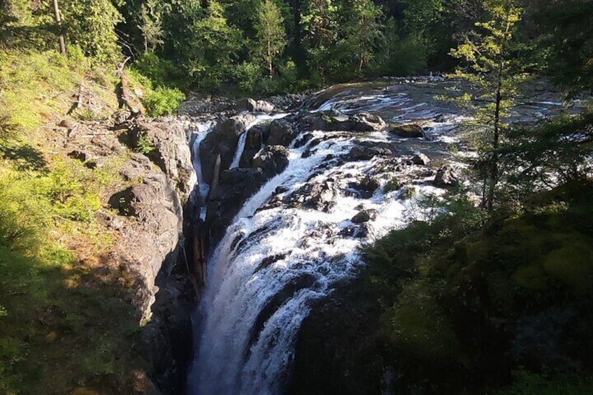 Full-Day Tour, Waterfalls, Caves, Old Growth on Vancouver Island