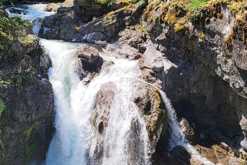 Full-Day Tour, Waterfalls, Caves, Old Growth on Vancouver Island