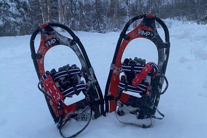 Winter Family Fun Day in Palmer Alaska