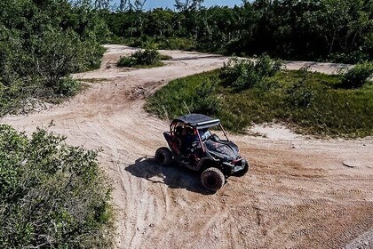 Private Tour in 4x4 Raizer Type Vehicle in Cozumel: All-Inclusive