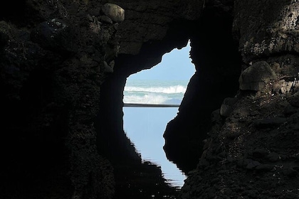 Full Day Exploring the Wild Piha Beach In Auckland
