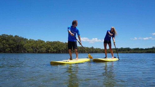 Byron Bay : Groupe 2.5 Heure Stand-Up Paddle Board Tour