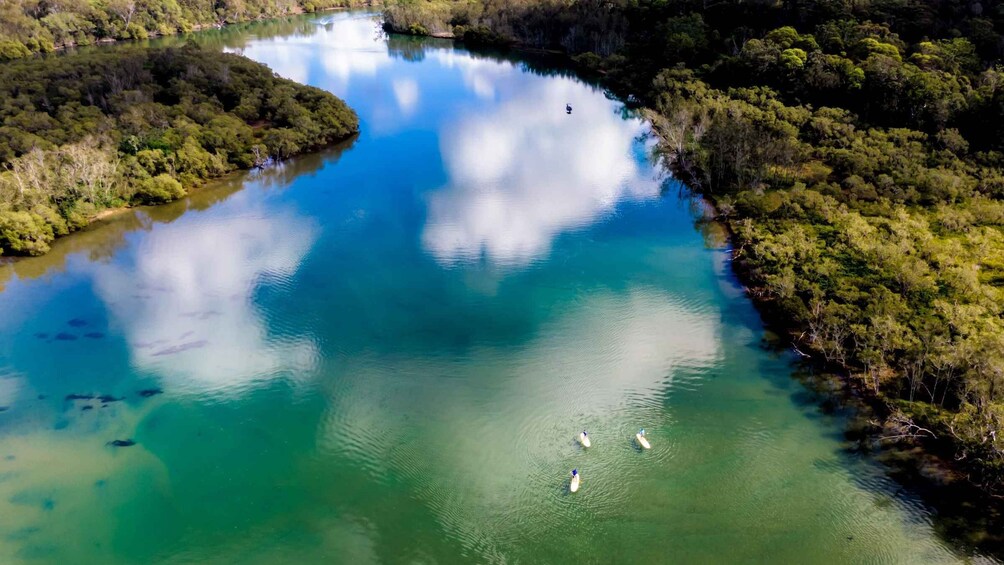 Picture 2 for Activity Byron Bay: Group 2.5 Hour Stand-Up Paddle Board Tour