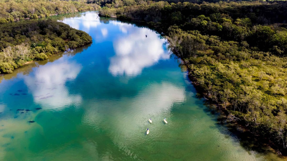 Picture 2 for Activity Byron Bay: Group 2.5 Hour Stand-Up Paddle Board Tour