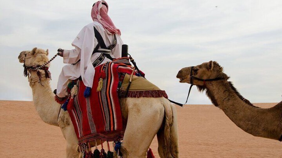 Private Desert Safari in Al Thumama Desert North Riyadh