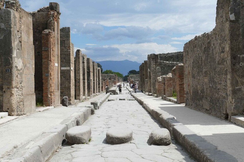 Picture 11 for Activity Pompeii half-day tour - Skip the line ticket from Sorrento