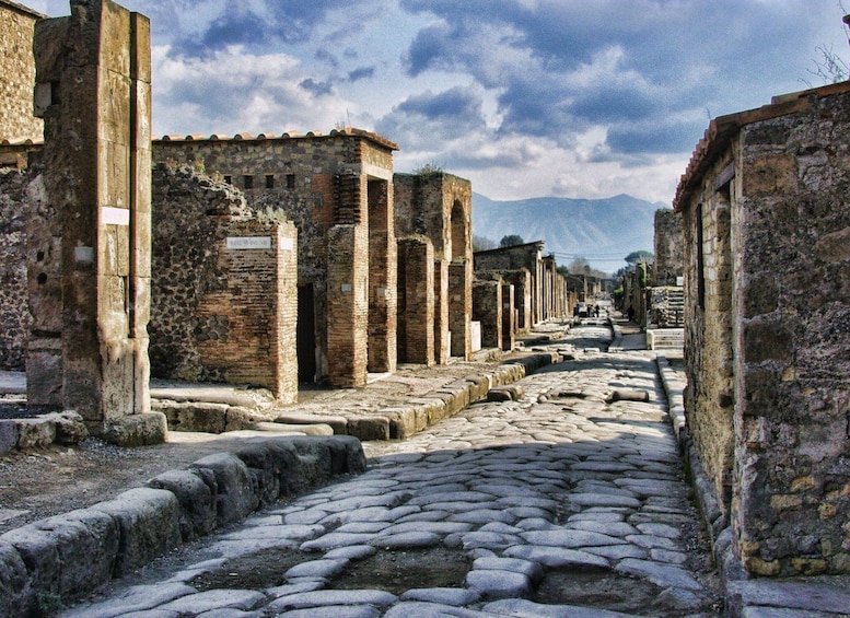 Picture 9 for Activity Pompeii half-day tour - Skip the line ticket from Sorrento