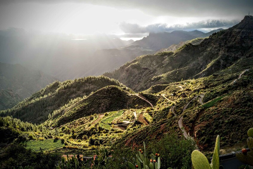 Picture 7 for Activity Gran Canaria: Highlights Tour, hike in the Lauer forest