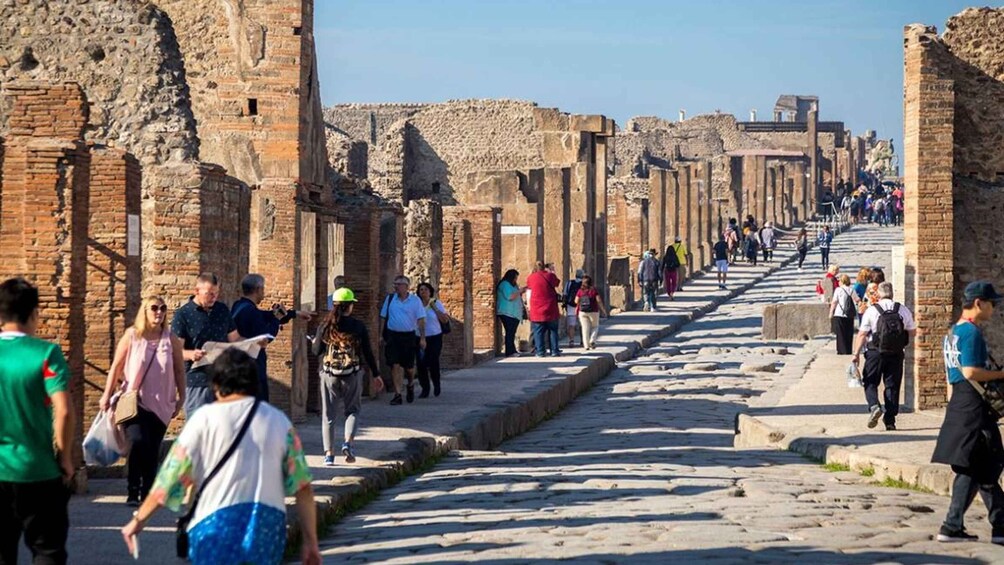 Picture 3 for Activity 2hours guided tour in Pompeii