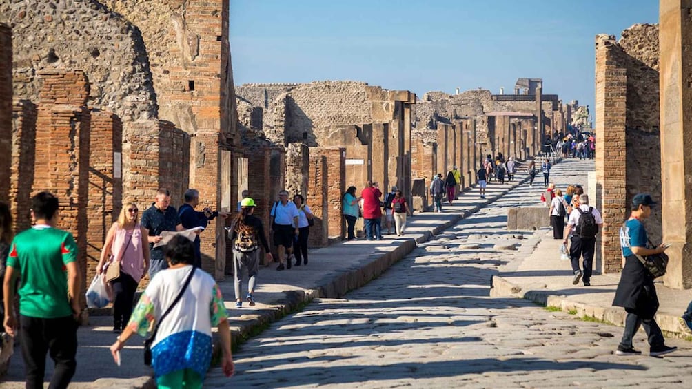 Picture 3 for Activity 2hours guided tour in Pompeii
