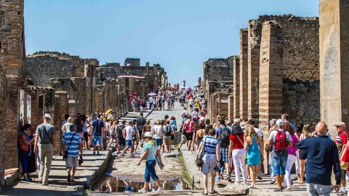 Visita guiada de 2 horas en Pompeya