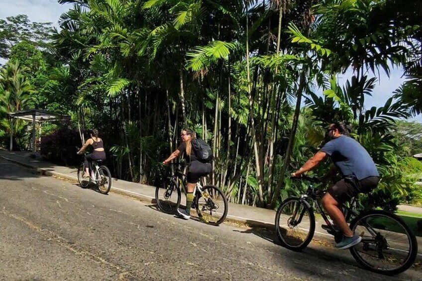 Bike Tour Panama Canal Zone