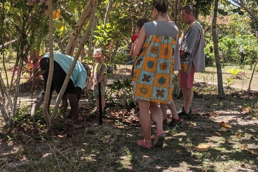 Authentic Garifuna Cooking Class in Hopkins Village Belize