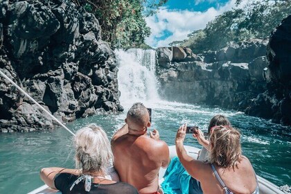 Full Day Shared Speed Boat in Ile Aux Cerfs Lunch & Transfer incl