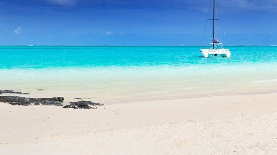 Full Day Shared Tour Catamaran to Ile Aux Cerfs