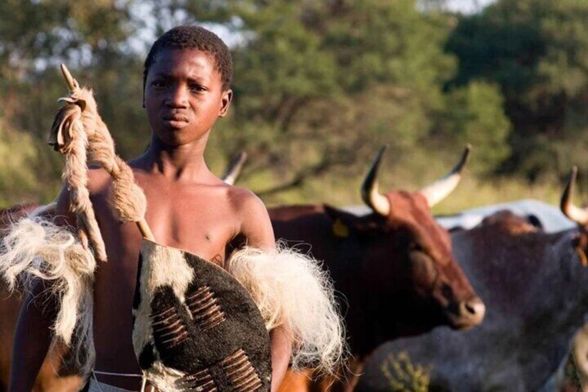 Isandlwana & Rorke's Drift Battlefields Full Day Tour From Durban