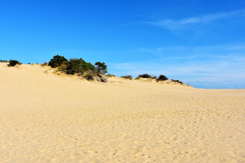 Wright Brothers Carolina Dunes Driving Tour