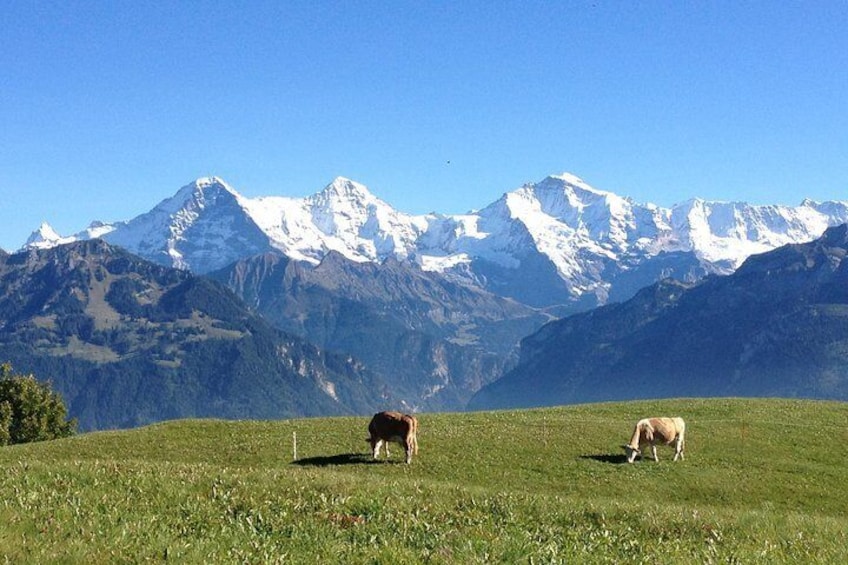 Interlaken, Jungfrau Region