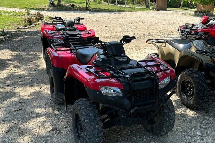 ATV Jungle Adventure 