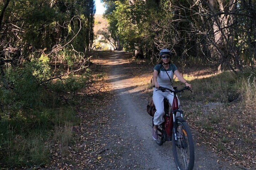 Lake Dunstan Wine Country E-bike Adventure