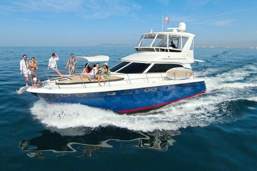 Whale Watching on a Private Yacht (private groups)