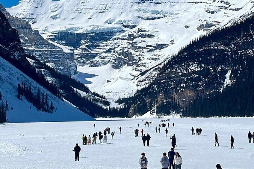 Explore Banff National Park with Our Premium Day Tour