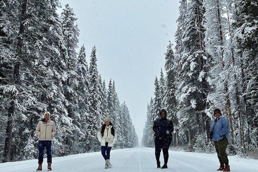 Explore Banff National Park with Our Premium Day Tour
