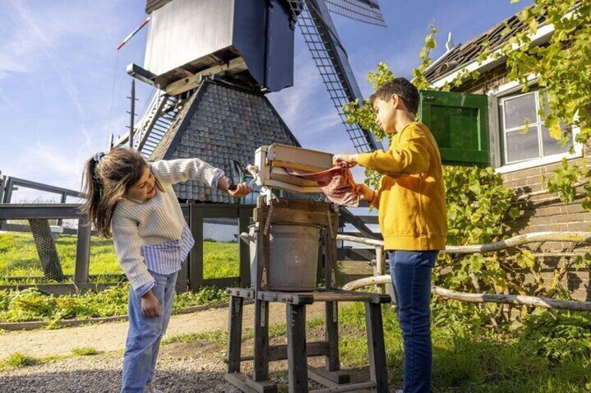 Tour to Kinderdijk and The Hague incl. Madurodam from Amsterdam