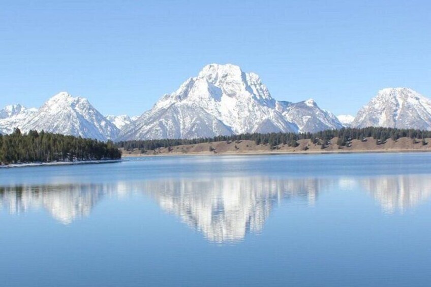 Half Day Private Winter Wildlife Tours in Jackson Hole