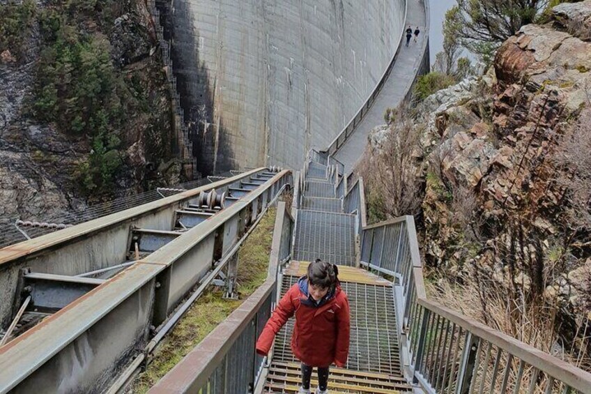 From Hobart: Gordon Dam Lake Pedder Wilderness Small Group Tour