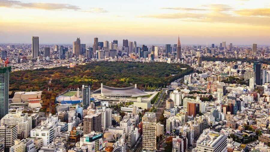Tokyo Layover Tour: Narita Airport with Licensed Guide