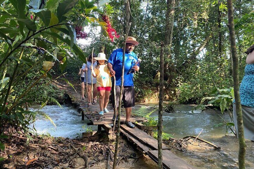Tour From Palenque: Rafting in the Lacandona Jungle and Bonampak