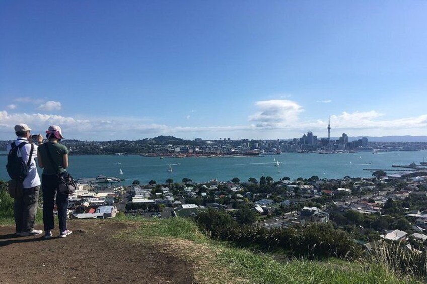 Auckland City from Mt Victoria