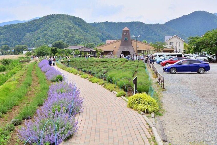 Mt.Fuji Tour: 3-Parks & The Healing Village in Fujiyoshida, Japan