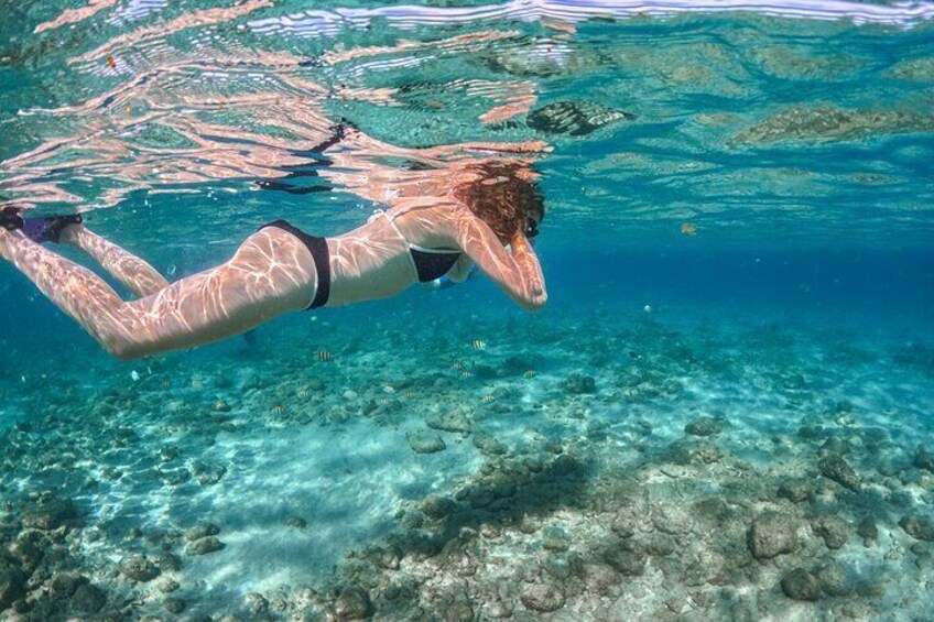 Peanut Island Boat & Snorkel Tour