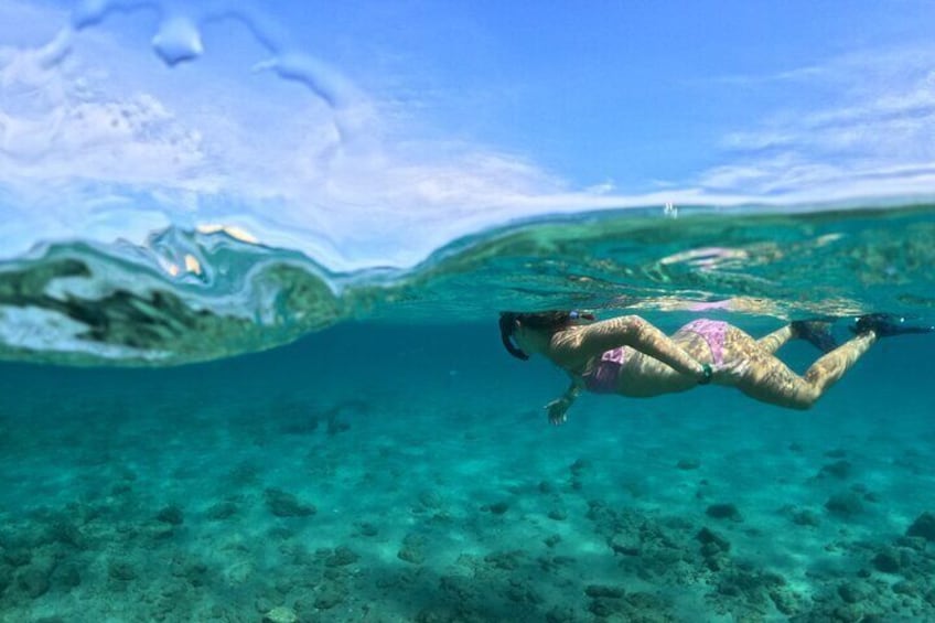 Palm Beach, FL has some of the best snorkeling